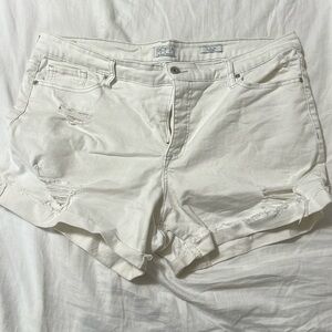 Sofia Jeans white denim shorts